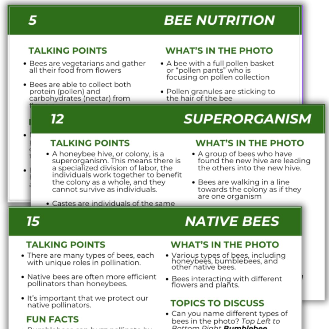 Educational Beekeeping Cards – 12x18 Oversized Beekeeping Flashcards for Teaching Bees and Beekeeping - Classroom and Workshop Learning Tool (Basic Set - Heavy Card Stock)