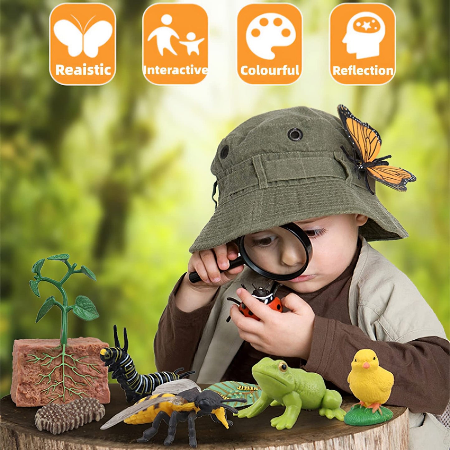 MIKNEKE Montessori Frog Life Cycle with Flash Cards, Plastic Insects Tadpole to Frog Kit Toy, Realistic Animal Figurines