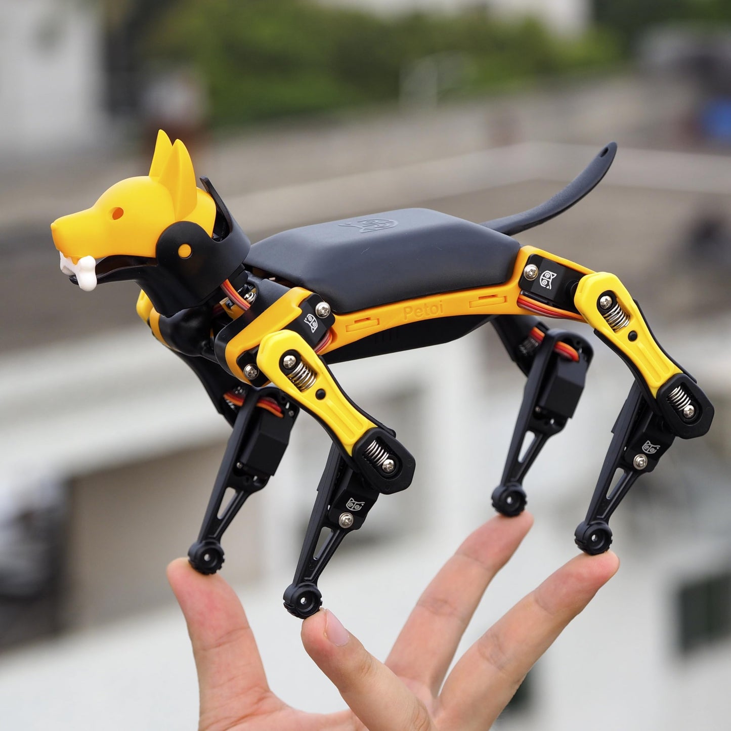 Petoi Programmable Robot Dog Bittle X V2 Alloy Servo (Construction) | Coding Smart Robot Dog Kit, Voice Controlled, Quadruped Interactive Robot for Kids, Open Source, STEM & Robotics Education