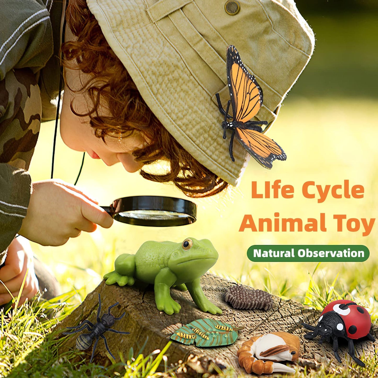 MIKNEKE Montessori Life Cycle Animal Figures with Flash Cards, Plastic Insects Monarch Butterfly Kit Caterpillar Toy for Kids, Realistic Animal Figurines (Butterfly)